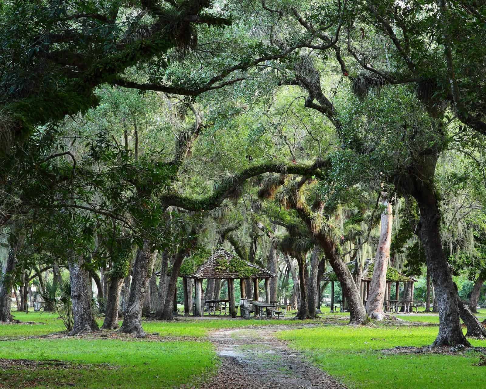 Matheson Hammock Park