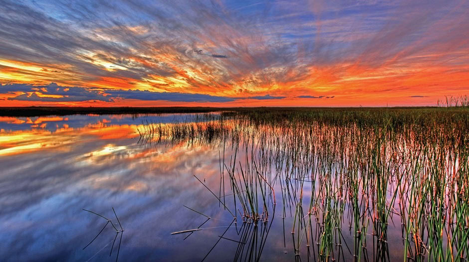 Everglades view