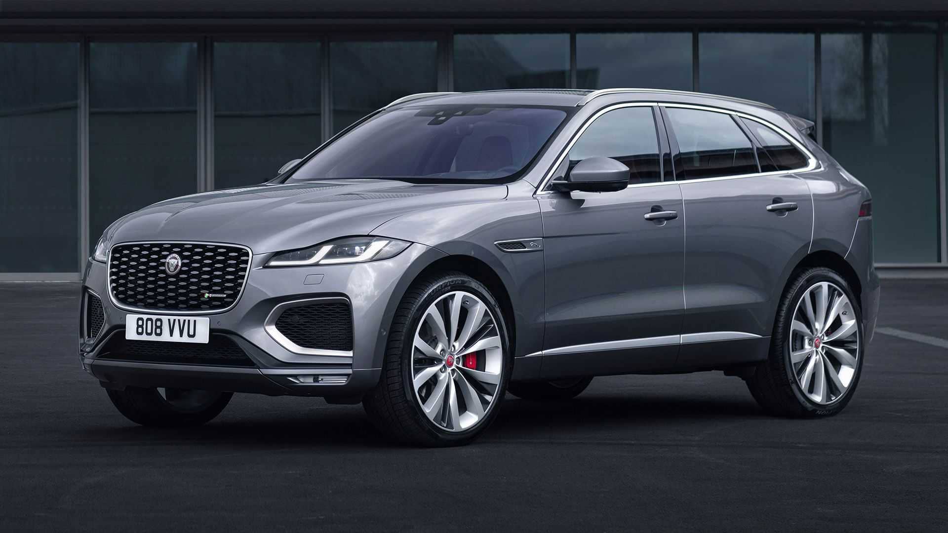 Jaguar in grey color