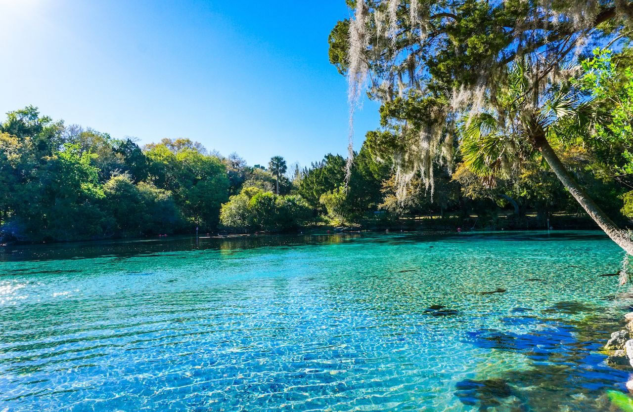Ocala view, a place for sporting luxury
